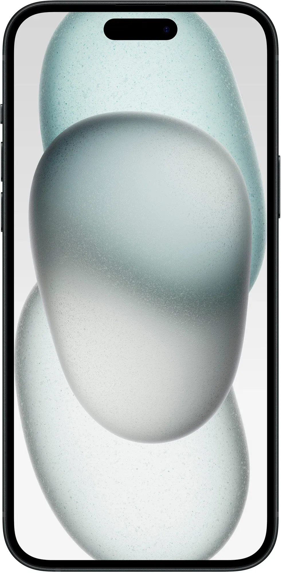 Смартфон Apple iPhone 15 Plus 128 ГБ (Черный | Black) - фото 2