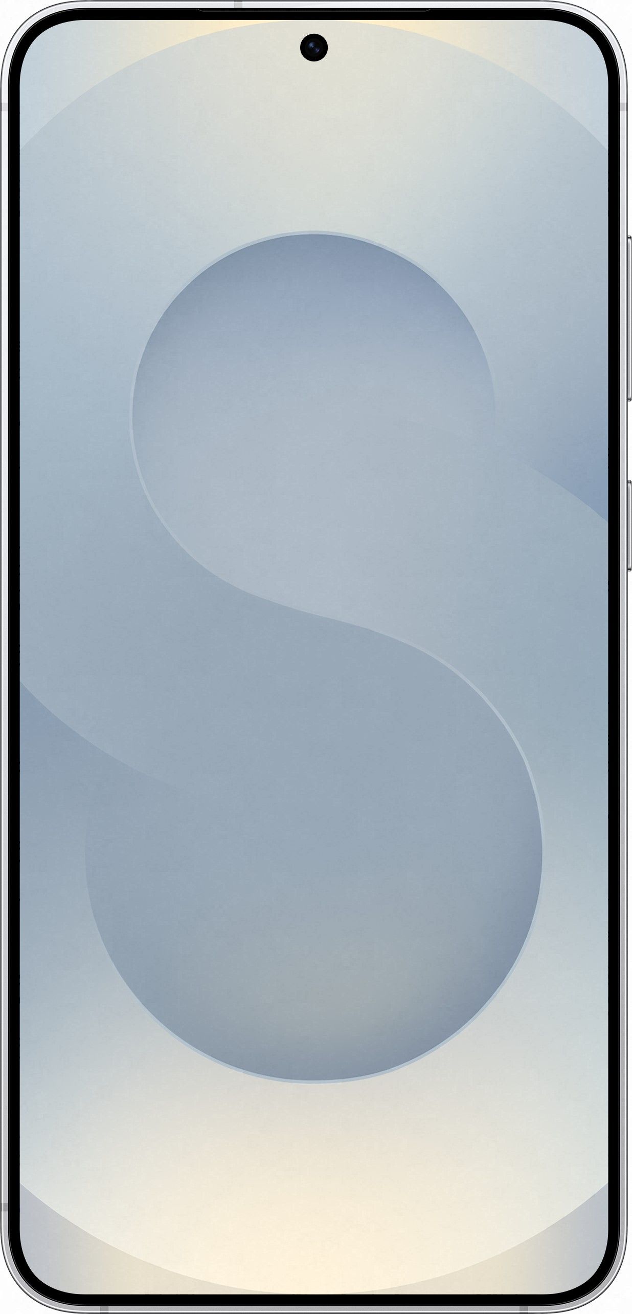 Смартфон Samsung Galaxy S25 Plus | 12-256 ГБ, Серый - фото 2