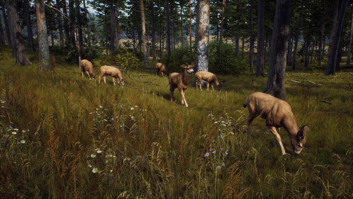 Игра Way of the Hunter (PS5, русские субтитры) 6