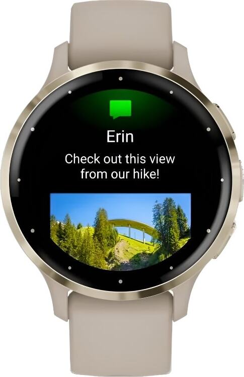 Смарт-часы Garmin Venu 3S - 41 mm, цвет "Французский серый" с золотистым безелем, бежевый ремешок 4