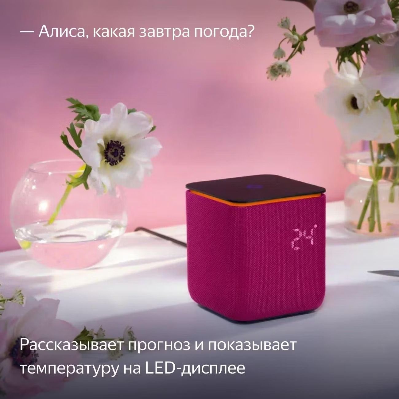 Умная колонка Яндекс Станция Миди Малиновый 9