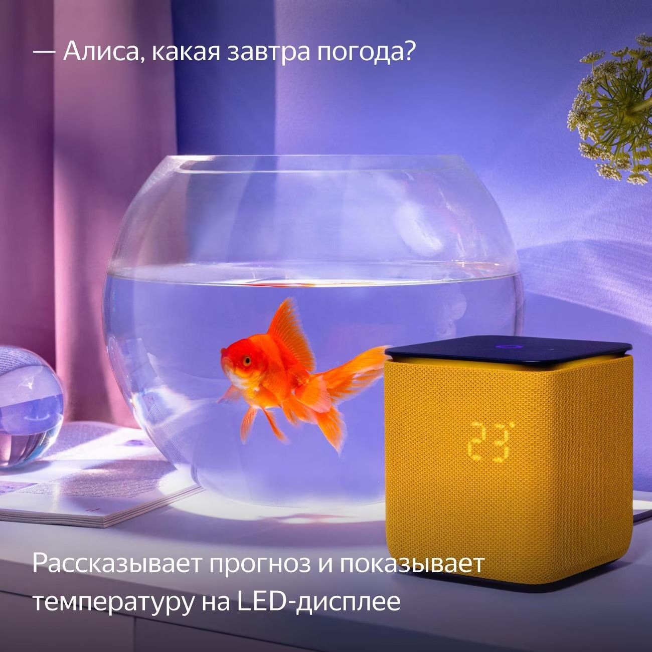 Умная колонка Яндекс Станция Миди Оранжевый 10