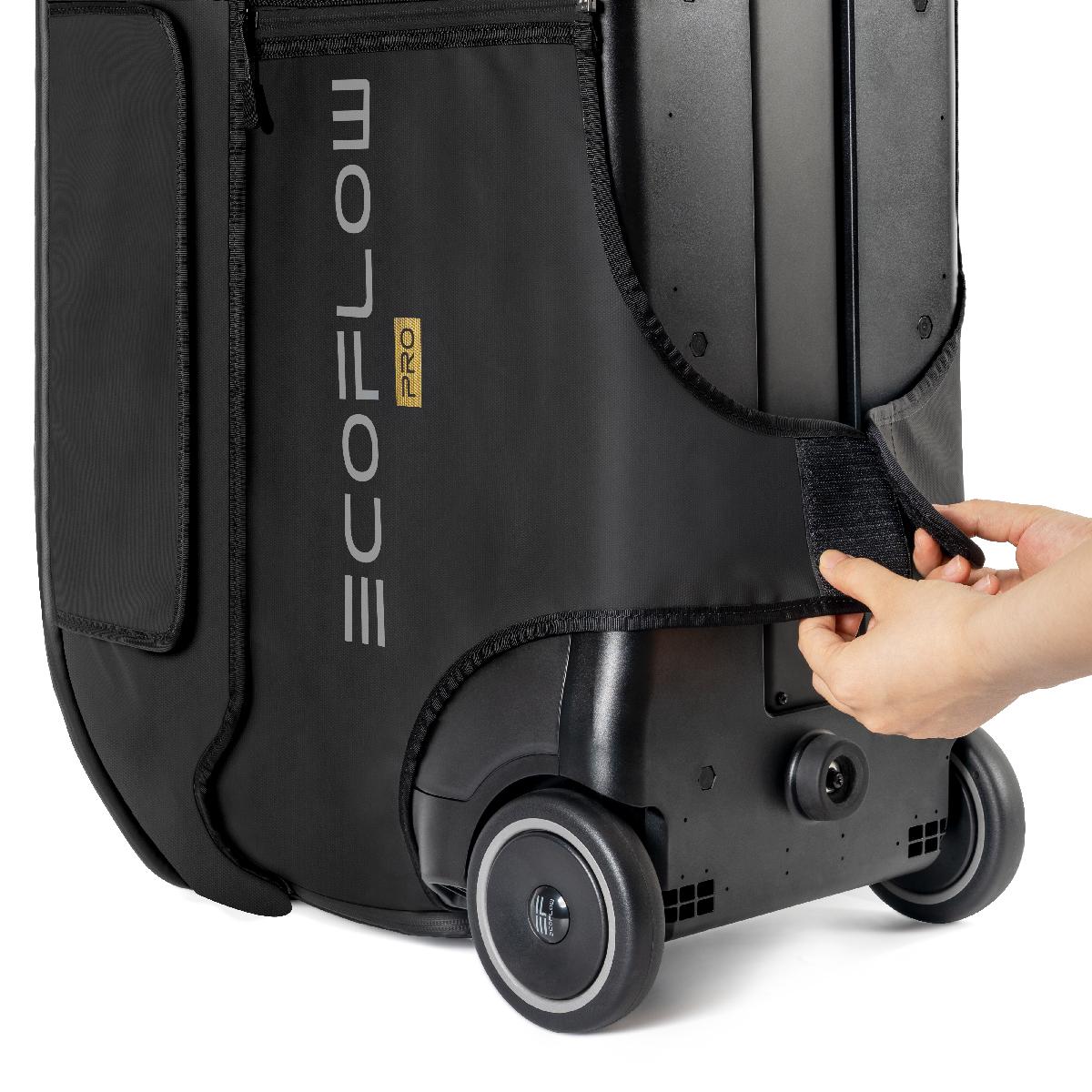 Сумка EcoFlow DELTA Pro 4