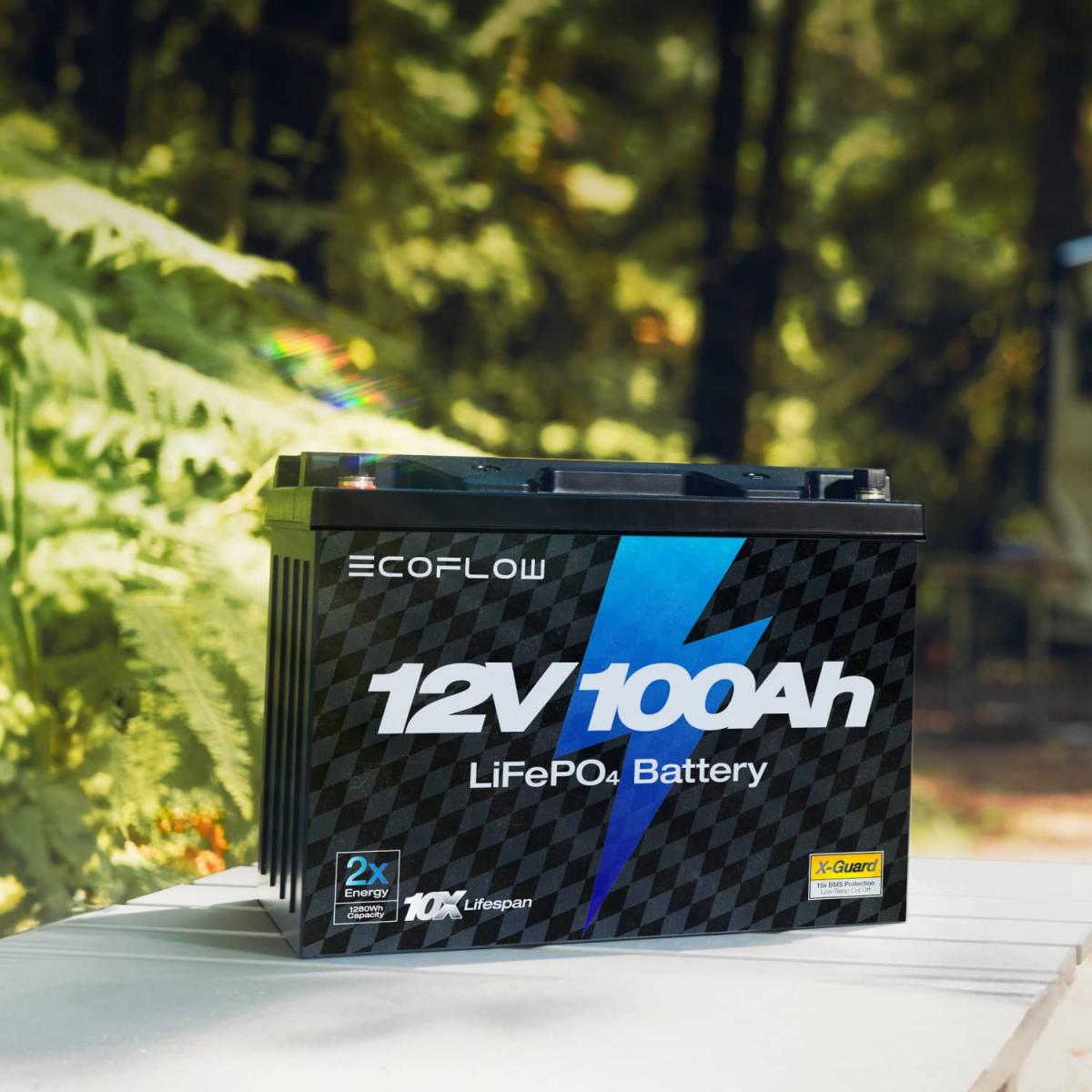 Тяговый аккумулятор EcoFlow 12 В 100 Ач LiFePO4 литиевый 6
