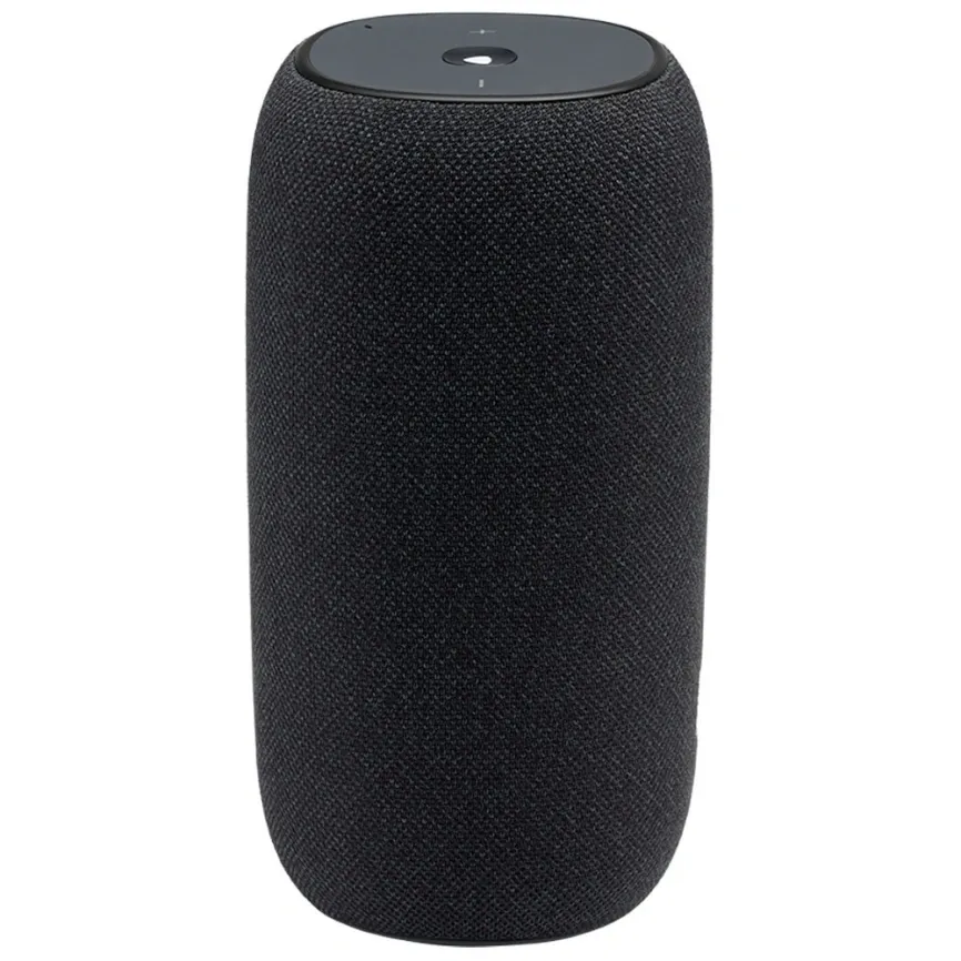 Беспроводная акустика JBL Link Portable Черный 4