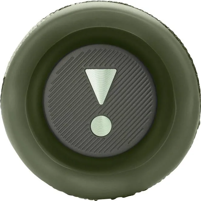 Беспроводная акустика JBL Flip 6 Squad 4