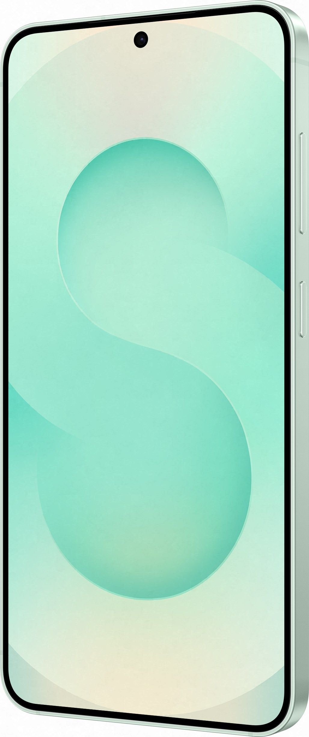 Смартфон Samsung Galaxy S25 | 12/512 ГБ, Мятный 8